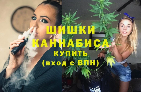 молекула духа Белокуриха